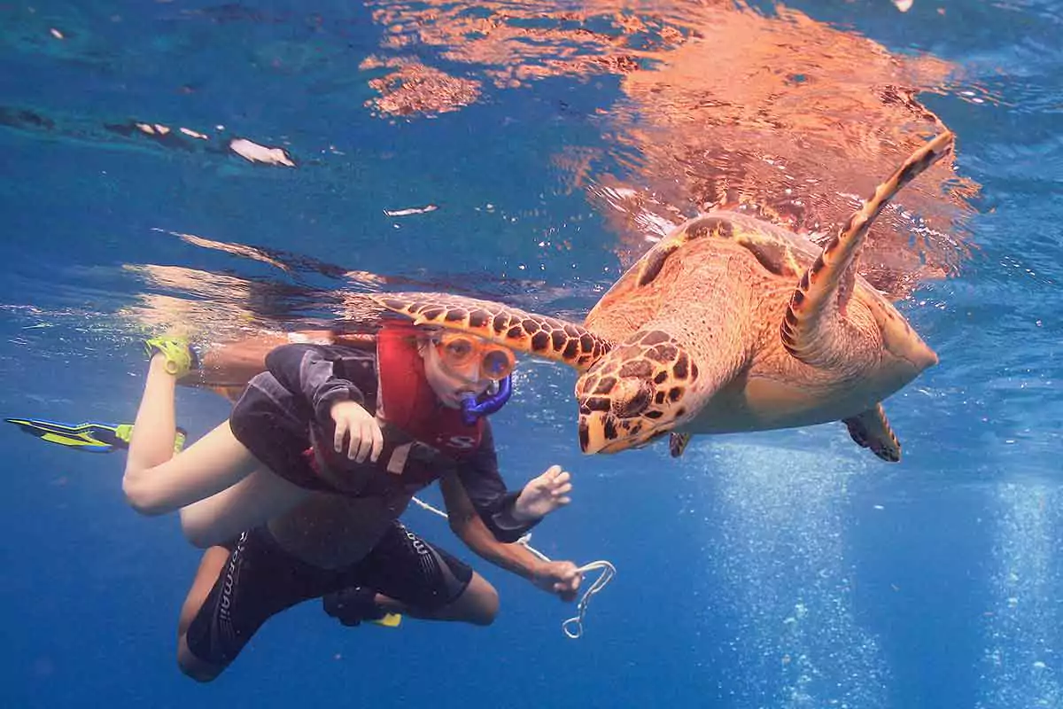 Scuba Diving for begginers in Cancun