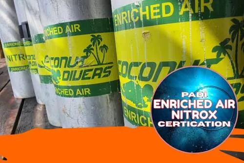 1 day of training - nitrox course in cancun