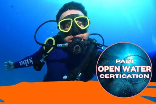 scuba diving cancun, turtle, coconut divers