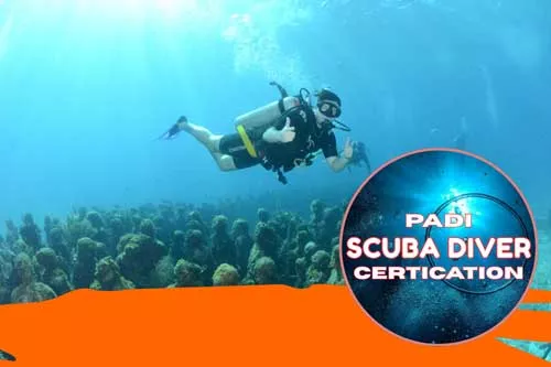 become PADI certified diver in Cancun